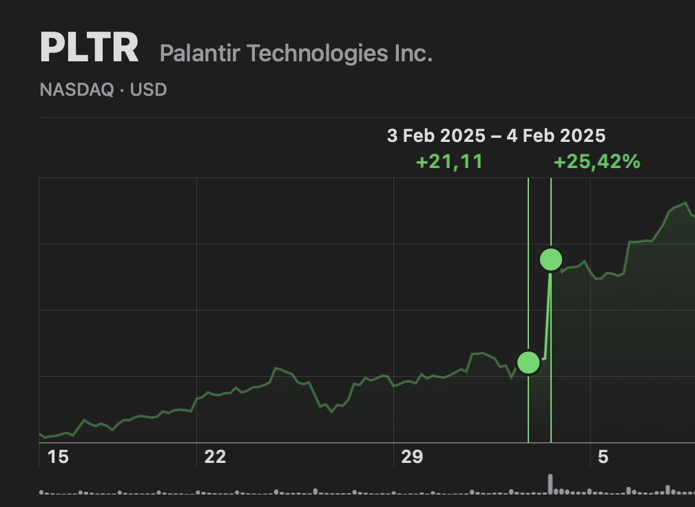 Palantir +24% in Borsa